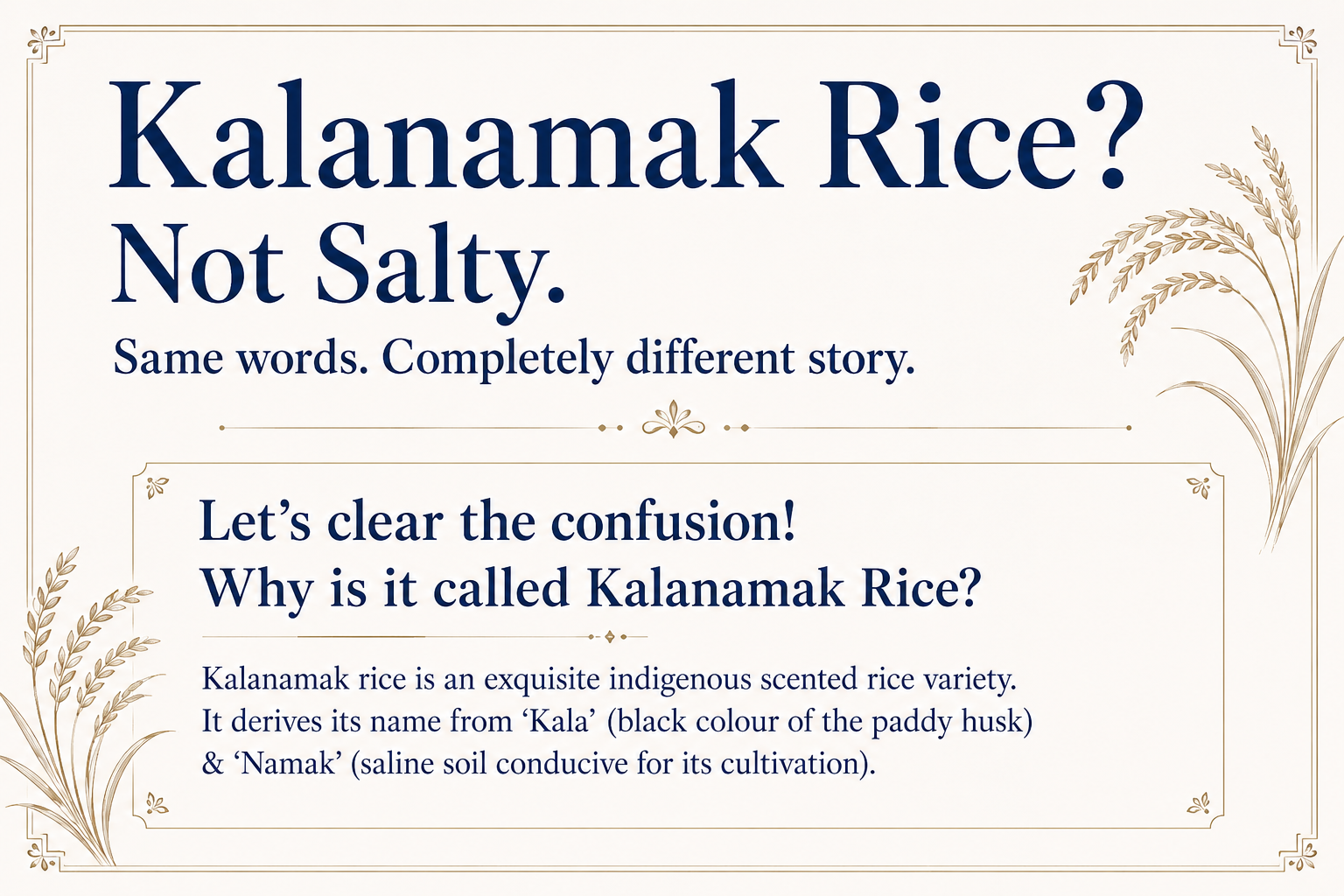 Kalanamak Rice? Not salty. Simply legendary — why Kalanamak rice is named from Kala (black paddy) and Namak (saline soil), and how it differs from black salt.